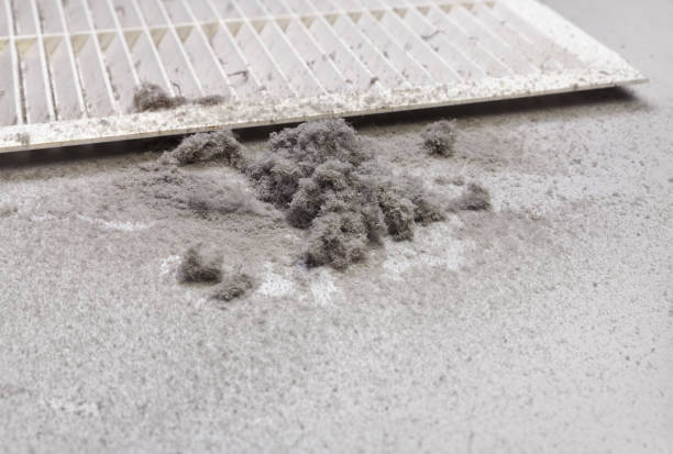 Best Ventilation Cleaning Services  in Parker, TX