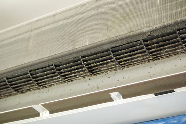 Best Air Vent Cleaning Services  in Parker, TX